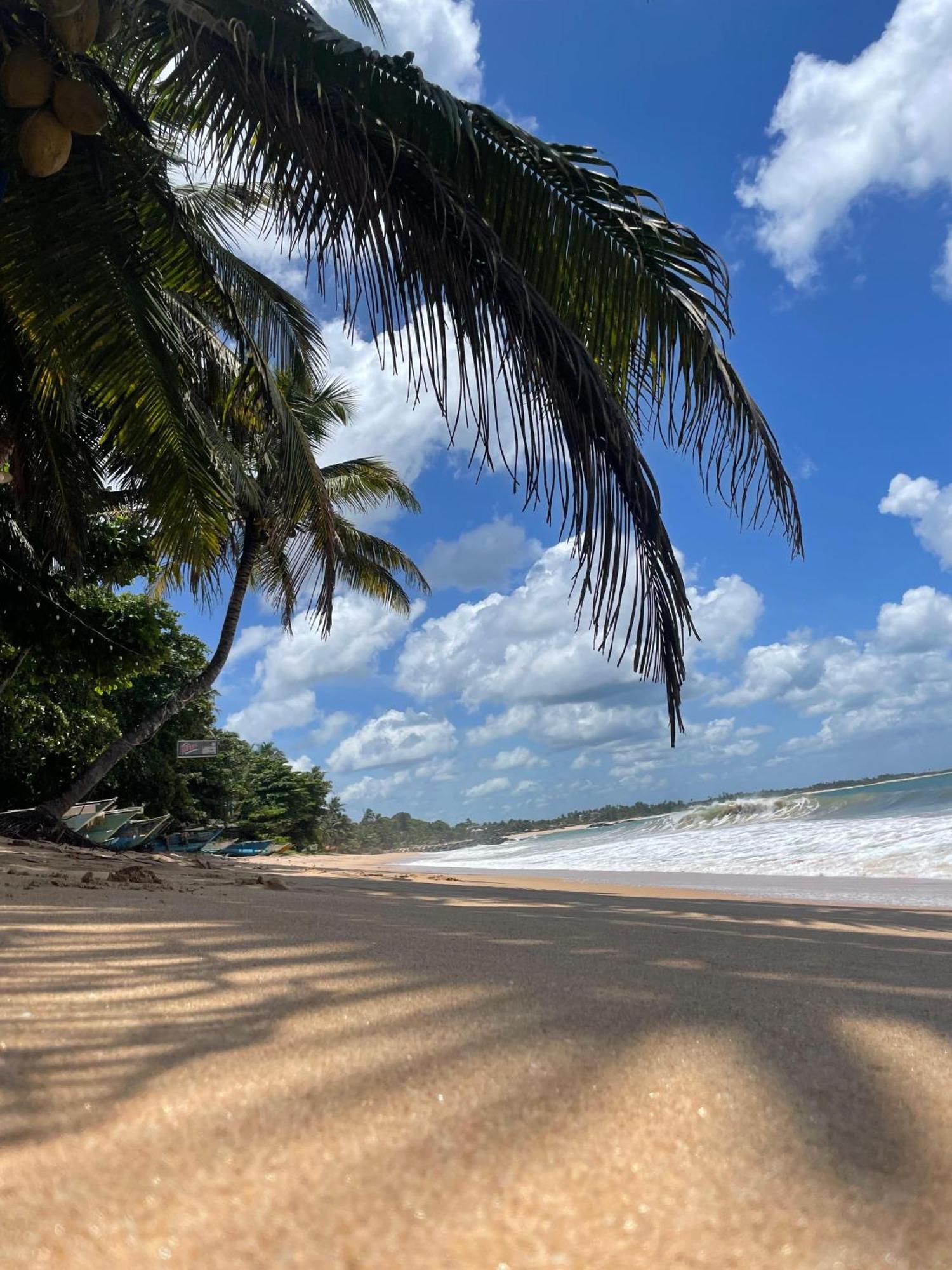 Frangipani Beach Villa Tangalle Exterior photo